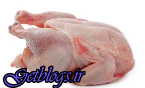 عرضه مرغ‌های دولتی در بازار ، فروش مرغ بیش از ۸۲۰۰ تومان تخلف است